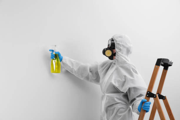 Trusted Florence, MS Mold Removal & Remediation Experts